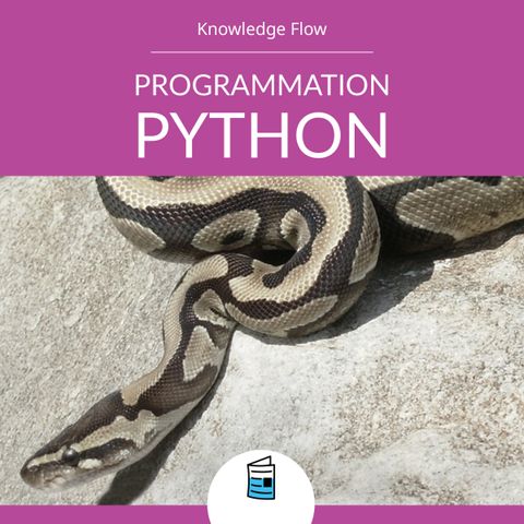 Programmation Python : Des bases aux projets concrets