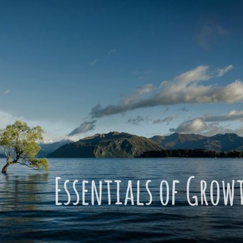 Essentials of Emotional Growth
