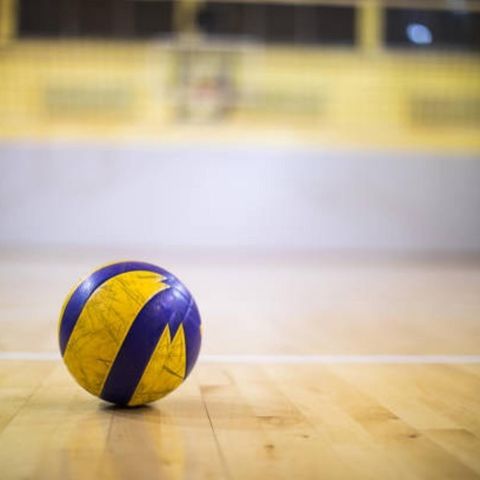 Riforma dello sport: i "procuratori" del volley ?