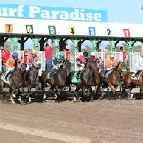 TURF PARADISE R10 SELECTIONS FOR 3/22