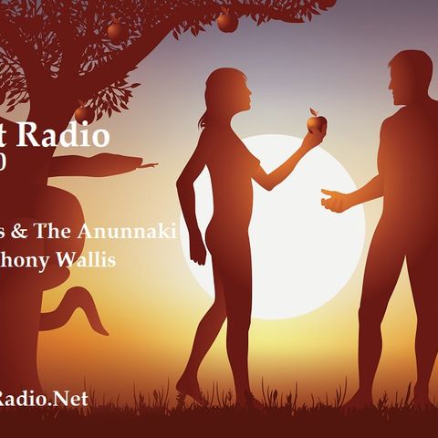 Episode 110  Angels, Aliens & The Anunnaki HUMAN ORIGINS with Paul Wallis