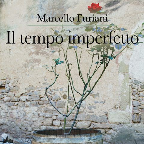 Il tempo imperfetto - di Marcello Furiani