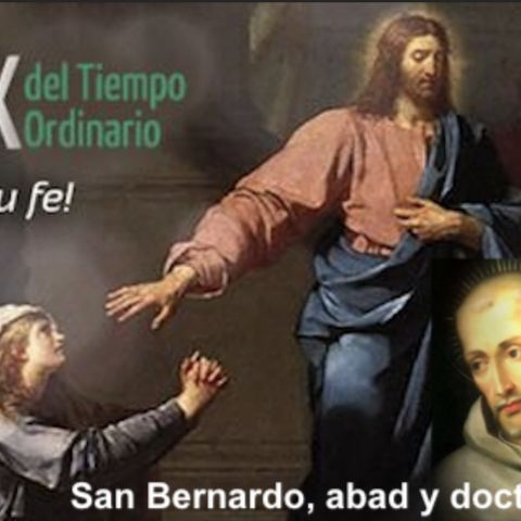 Domingo XX del T.O. San Bernardo, abad y doctor de la Iglesia