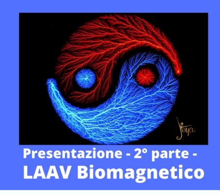 LAAV Biomagnetico - Presentazione parte 2