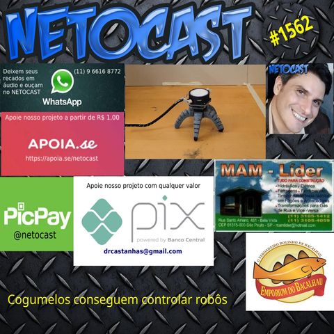 NETOCAST 1562 DE 03 09 2024 - Cogumelos conseguem controlar um robô com impulsos elétricos