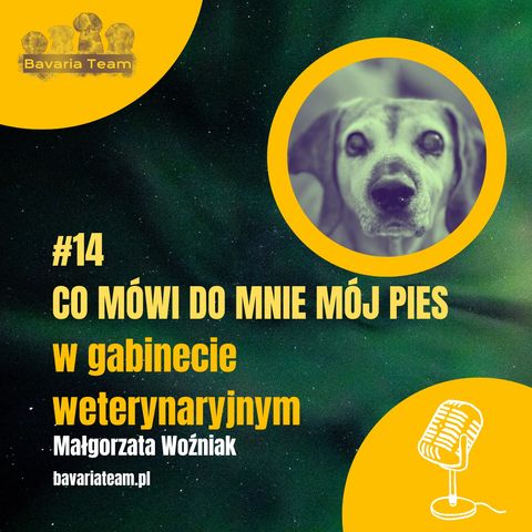 #14. Co mówi do mnie mój pies w gabinecie weterynaryjnym?