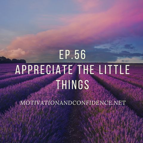 Ep. 56 Appreciate the little things