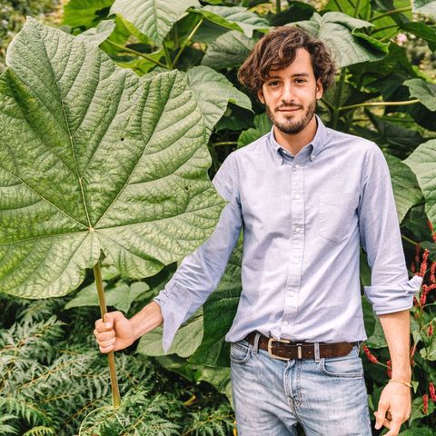 Growing a Greener Tomorrow: Matthieu Mehuys on Regenerative Farming