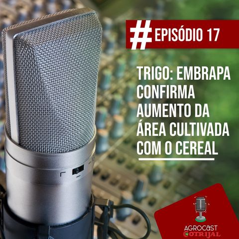 Trigo: Embrapa confirma aumento da área cultivada com o cereal