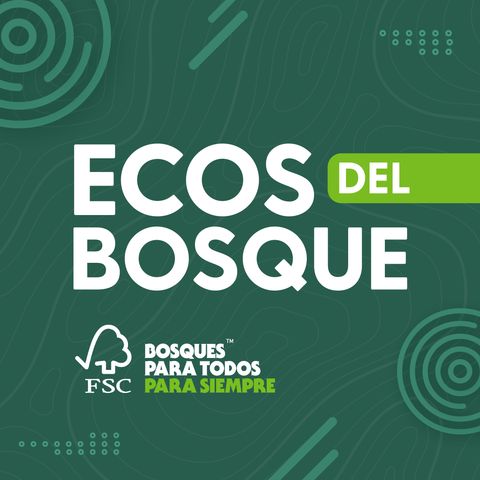 Tráiler: Ecos del Bosque