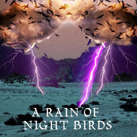 Deena Metgzer: A Rain of Night Birds