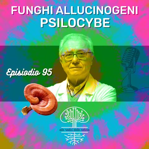 Funghi Allucinogeni: PSILOCYBE