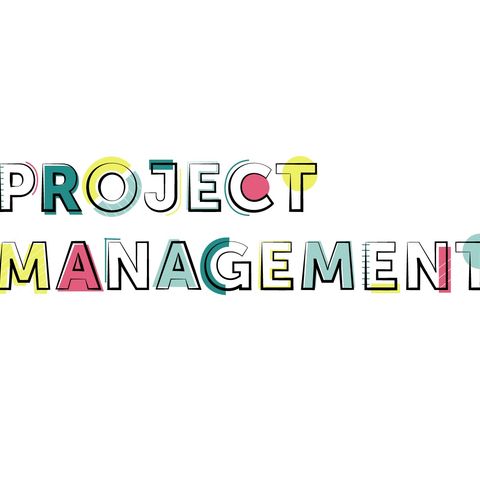 Ep-6 Organizational Project Management & Strategies