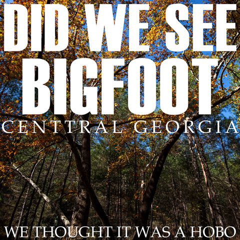 POSSIBLE BIGFOOT ENCOUNTER FROM CENTRAL GEORGIA (WE THOUGHT IT WAS A HOBO!!!)