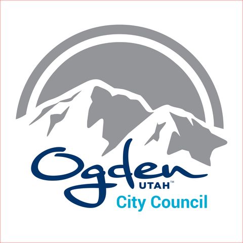 Episode 161 - January 3, 2022 -  Special City Council Meeting