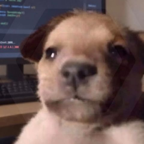 Code & Connect