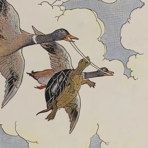 De schildpad en de eenden | Aesopus Fabels