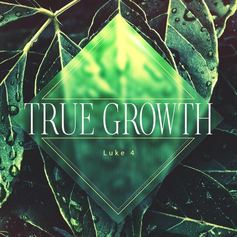 Mark: True Growth