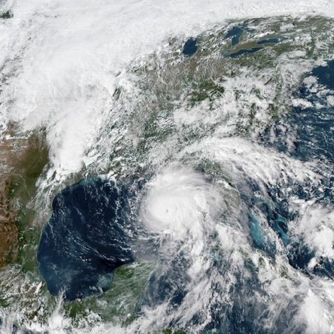 Panhandle braces for 'monster' Hurricane Michael; Speculation about Nikki Haley's successor