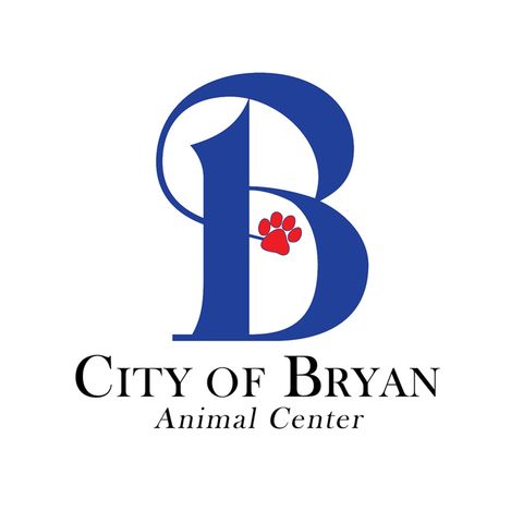 Bryan Animal Center Update on The Infomaniacs