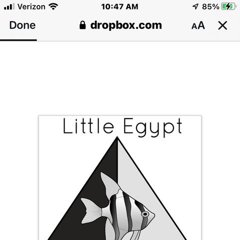 little Egypt aquarium club