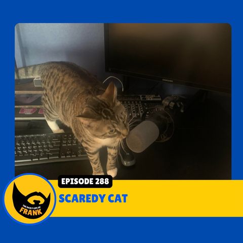 Episode 288: Scaredy Cat
