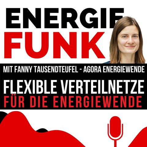 E&M ENERGIEFUNK - Flexible Verteilnetze für die Energiewende - Podcast für die Energiewirtschaft