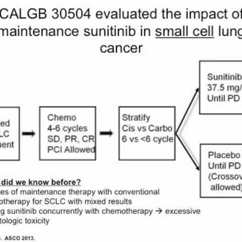 ASCO Lung Cancer Highlights, Part 7: Maintenance Therapy for Small Cell Lung Cancer? (video)