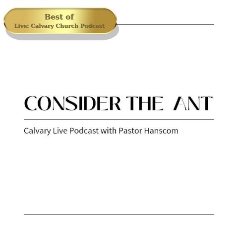 Best of: Consider the ant. Wed, Oct 5, 2022.