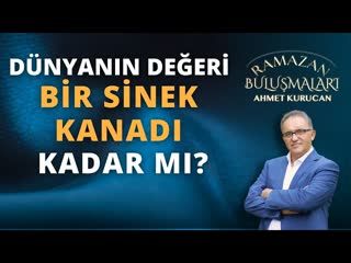 Dünyanın Değeri Bir Sinek Kanadı Kadar mı   AHMET KURUCAN