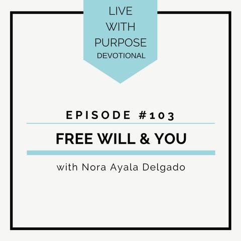 #103 Free Will and You