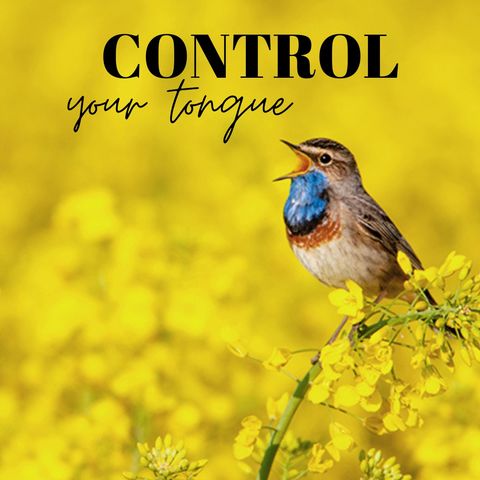 Control Your Tongue —with lake waves