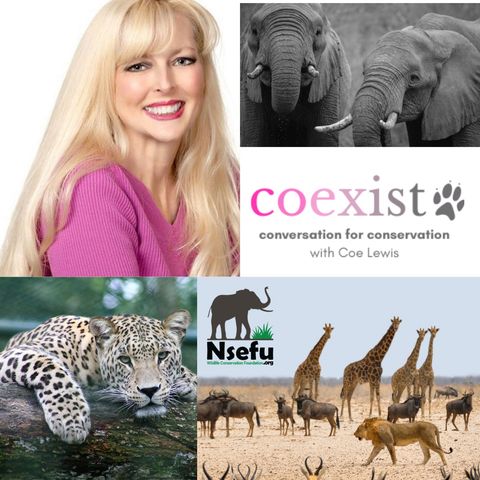 Kelly Sorenson, Ventana Wildlife Society with Coexist Ep.173