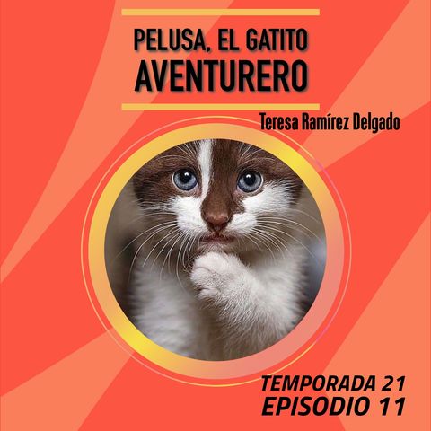 Cuento infantil: Pelusa el gatito aventurero - Temporada 21 Episodio 11