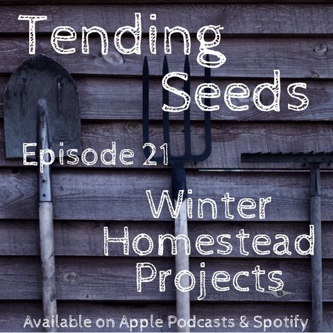 Ep 21 - Winter Homestead Projects