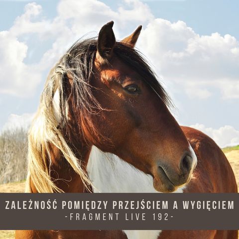 Zależność pomiędzy przejściem a wygięciem - fragment live 192