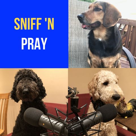 Sniff 'N Pray | Thriving With A Routine - Psalm 5