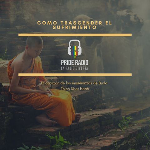 Como Transformar el Sufrimiento (el camino del Buda) 1era parte