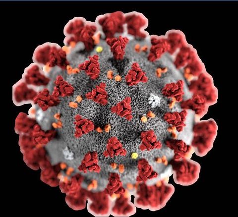 Coronavirus: una Prospettiva Antropologica