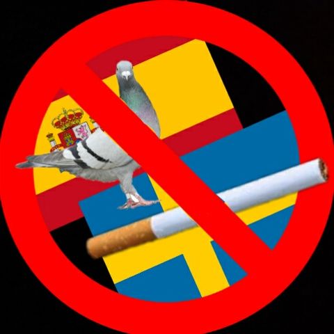 #rivaligure basta fumo e piccioni!