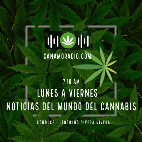 Noticias del mundo del Cannabis 14-01-2021