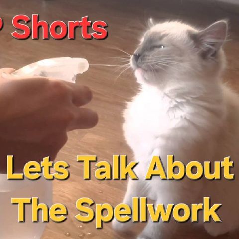 Lets Talk About The Spellwork