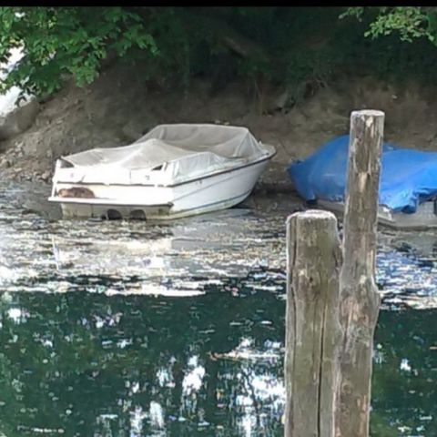 Un reportage dal Parco del Ticino-Lanca Ajala