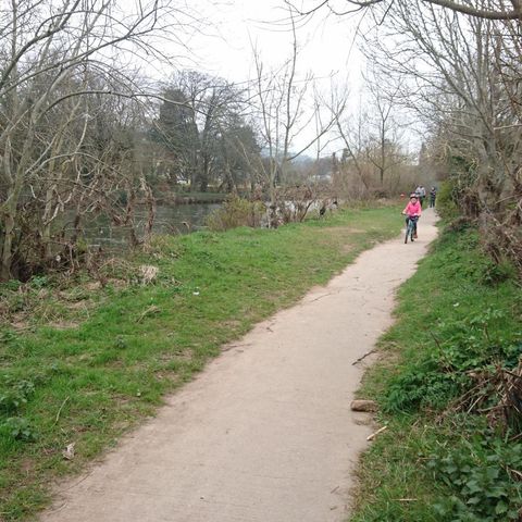 Sunday walk along the Suir