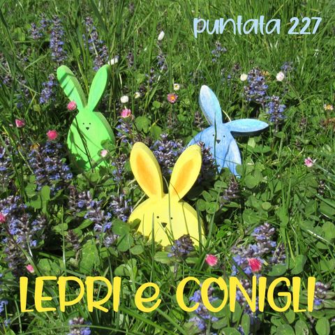 Puntata 227 - Lepri e conigli