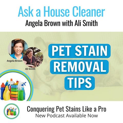 Handling Pet Stains With Ease With Ali Smith