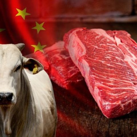 Carne, China e diplomacia