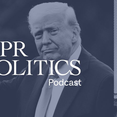 Weekly Roundup: Tariffs, Texts & Turtles