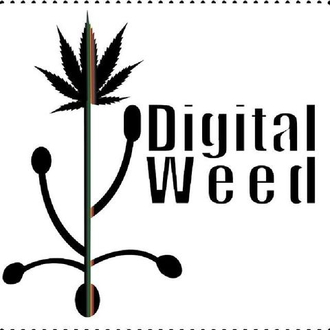 Episode 7 - Digital Weed News - International Perspective