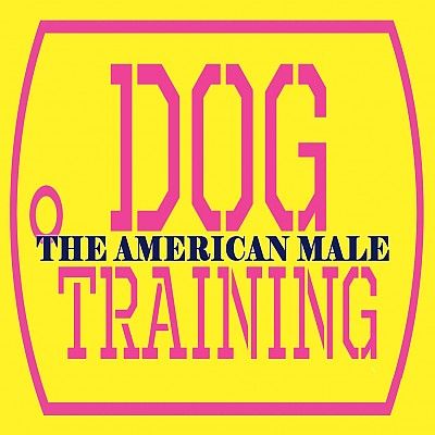 LA Knight Dog Training The American Male